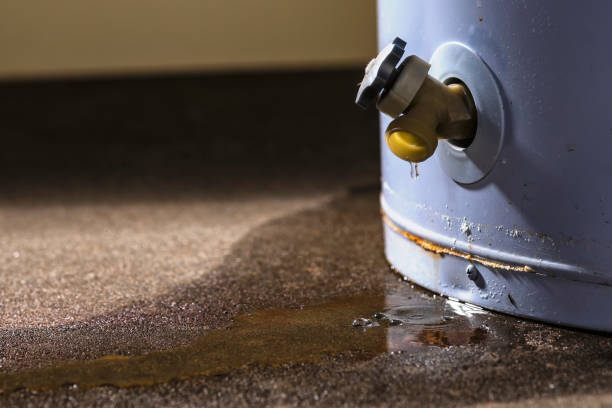 Best Carpet water damage restoration  in Peppermill Village, MD