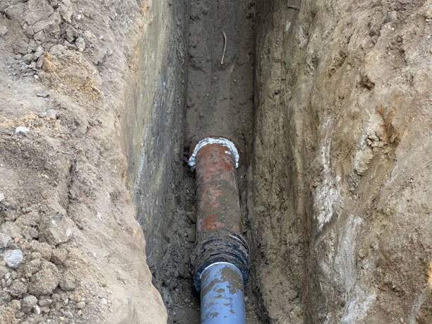 Best Professional water damage repair  in Peppermill Village, MD