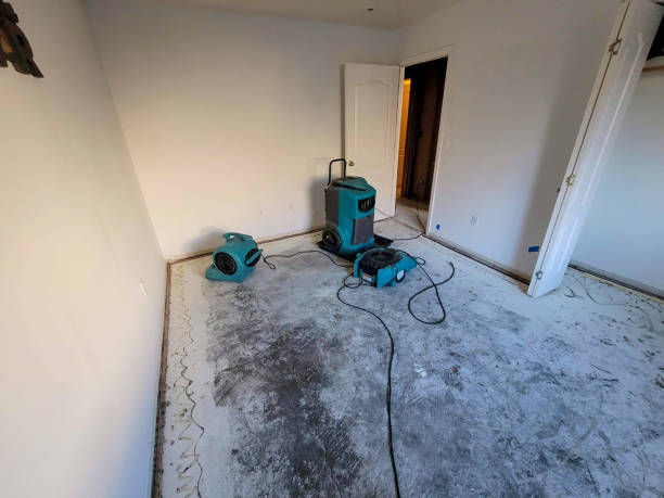 Sewage cleanup and water damage restoration in MD