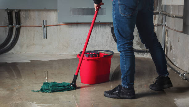 Best Ceiling water damage repair  in Peppermill Village, MD
