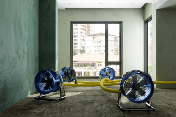 Best Fire Damage Restoration  in Peppermill Village, MD
